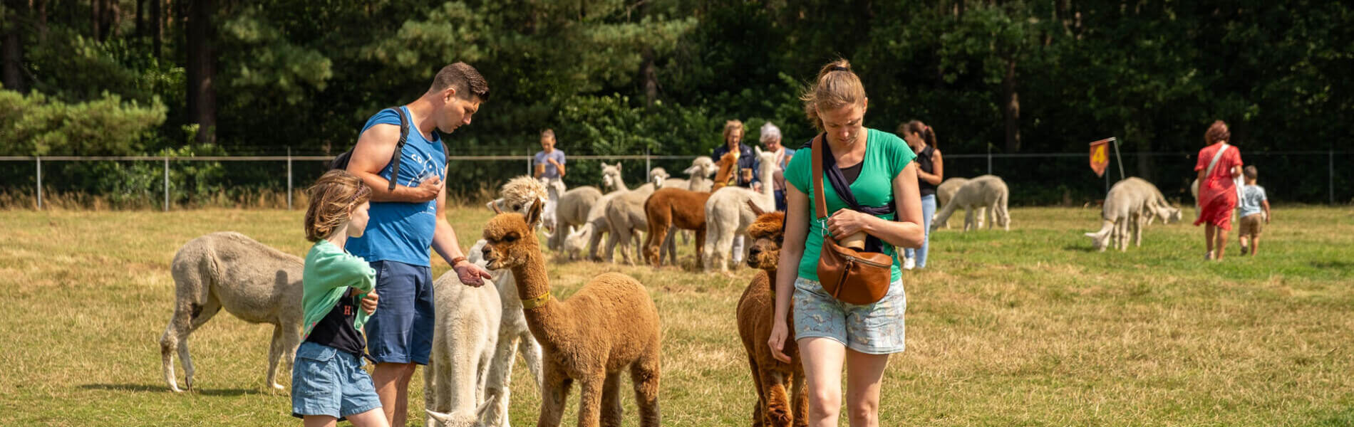 xl-Caroline Charité Fotografie - AlpacAvontuur-041